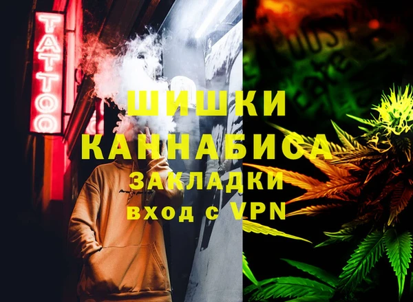 бошки Протвино