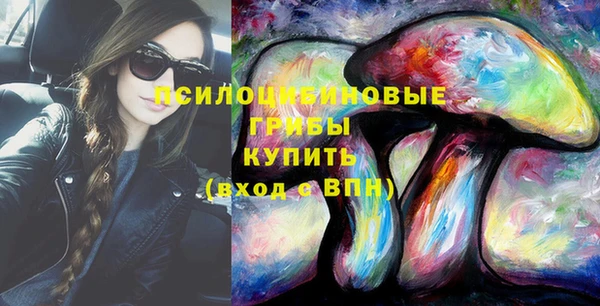 бошки Алексин