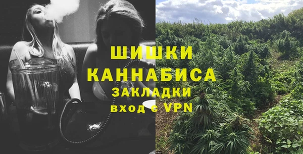 spice Алзамай