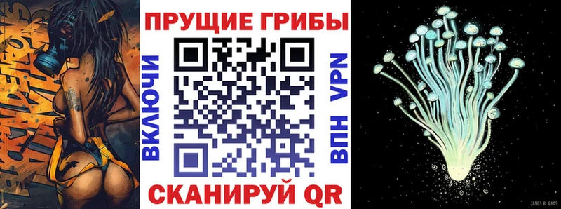 кракен сайт  Апатиты  Псилоцибиновые грибы Psilocybe 